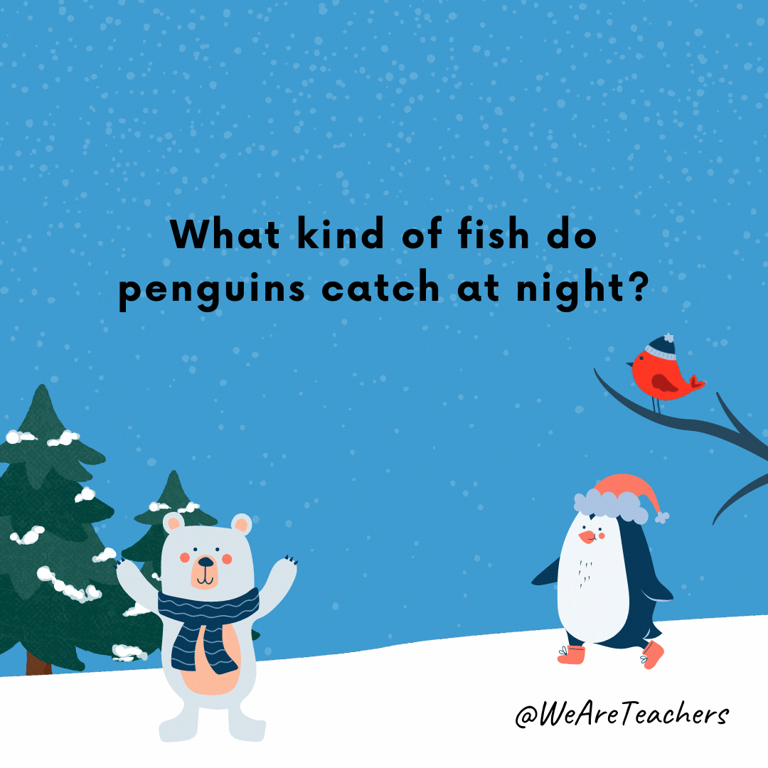 What kind of fish do penguins catch at night? Starfish!- winter jokes