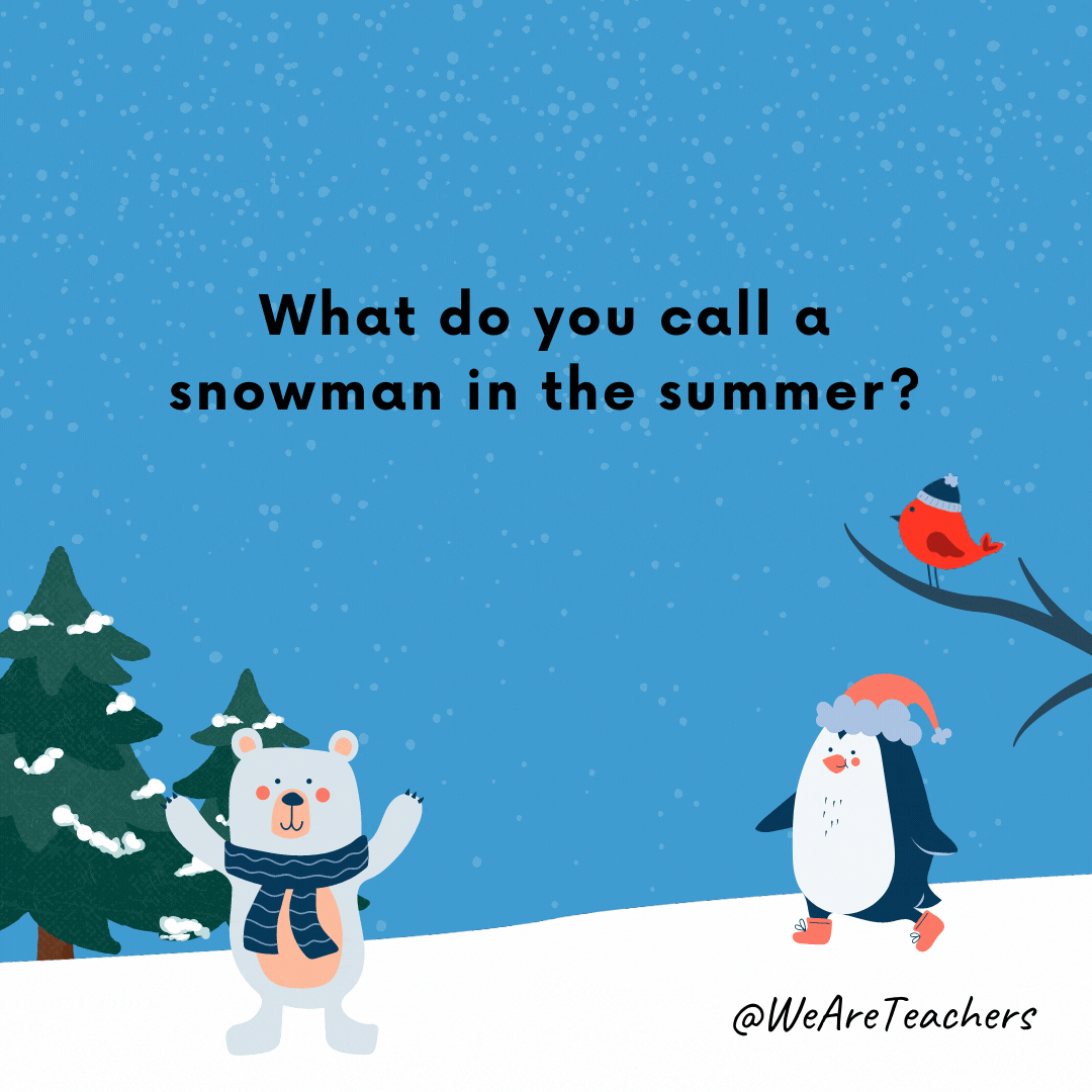 What do you call a snowman in the summer? A puddle.