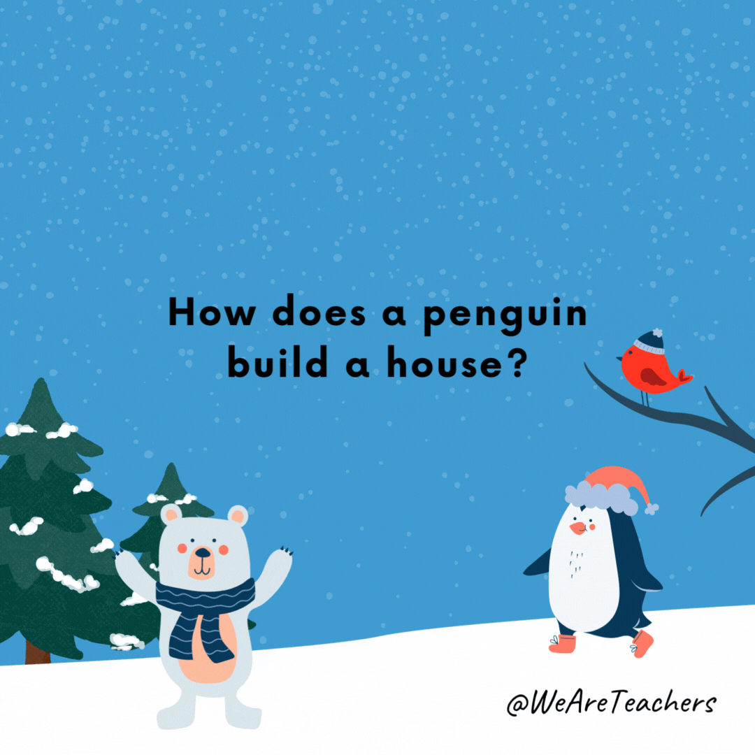 How does a penguin build a house?