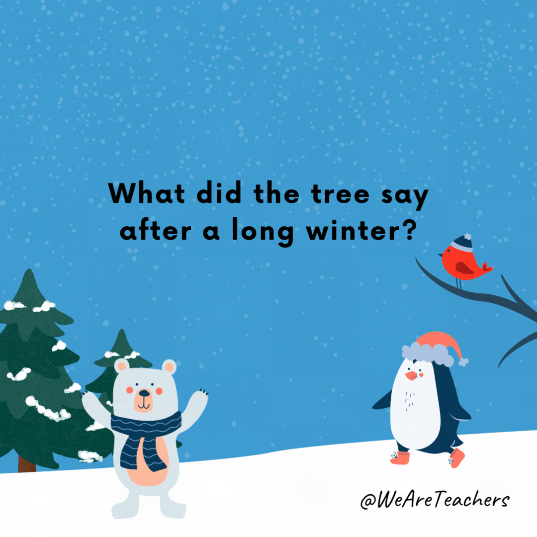 What did the tree say after a long winter?