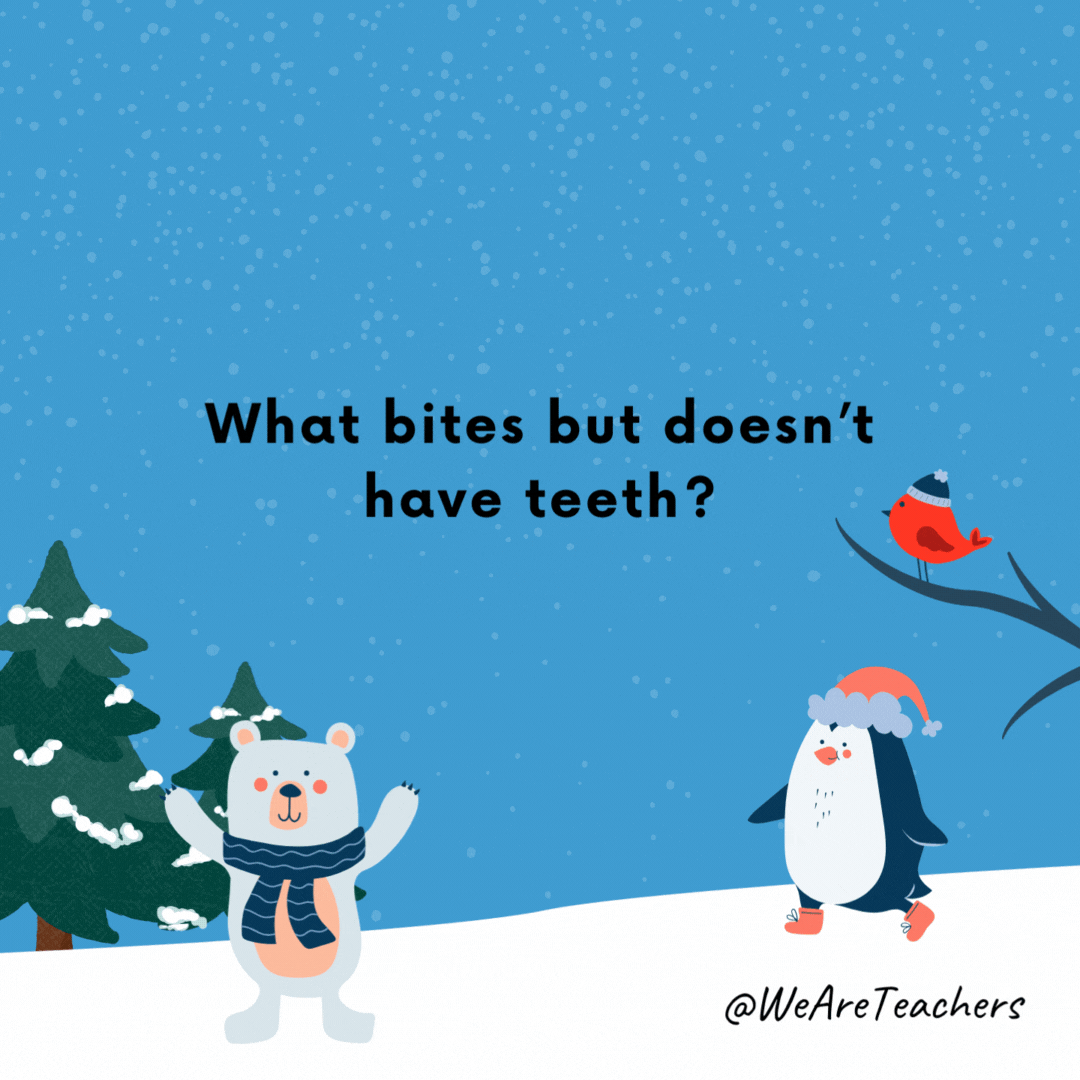 What bites but doesn’t have teeth? Frost- winter jokes.