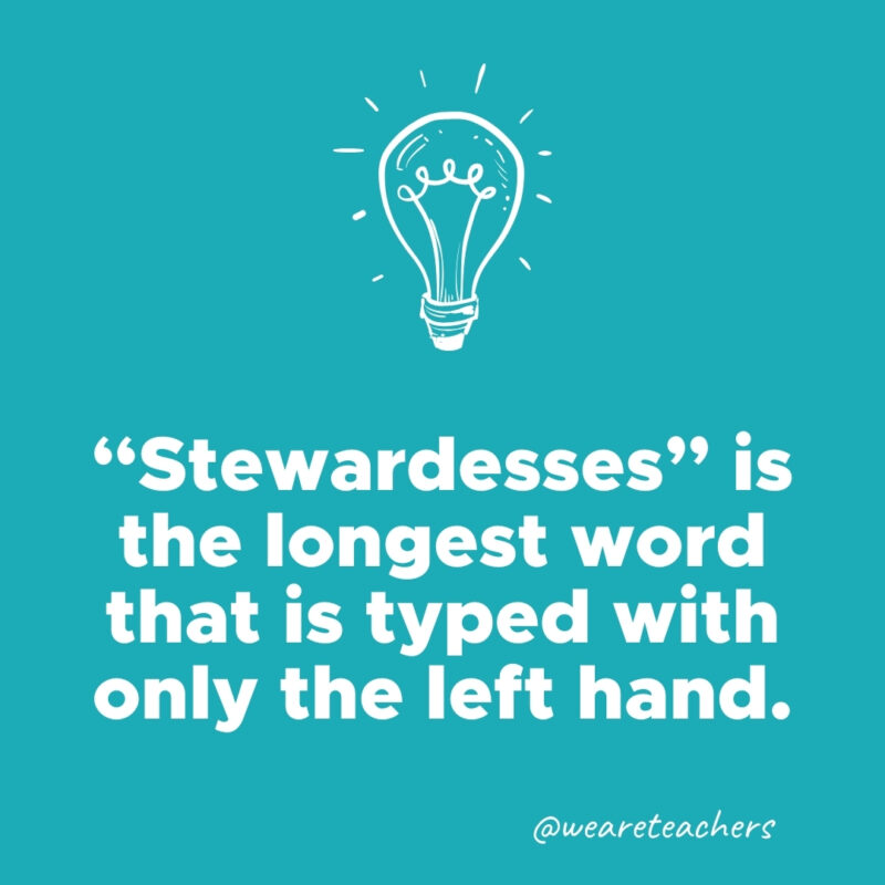 "Stewardesses" is the longest word that is typed with only the left hand.