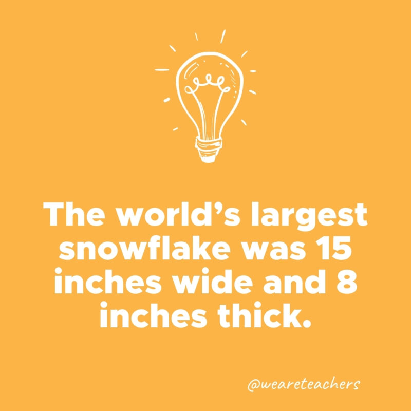  The world's largest snowflake was 15 inches wide and 8 inches thick. 