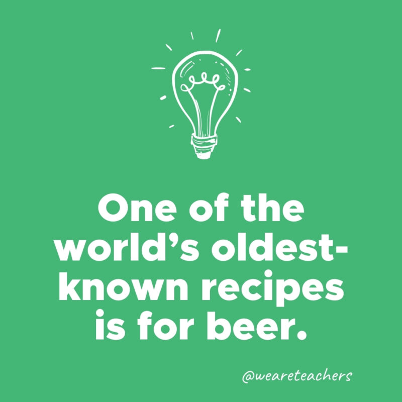 One of the world's oldest-known recipes is for beer.- weird fun facts