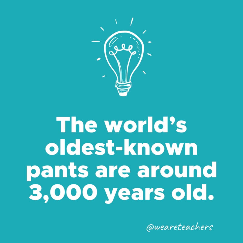 The world's oldest-known pants are around 3,000 years old.