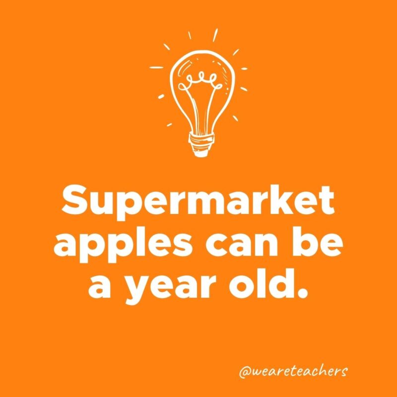 Weird fun fact - Supermarket apples can be a year old.