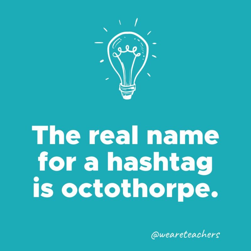 The real name for a hashtag is octothorpe- weird fun facts