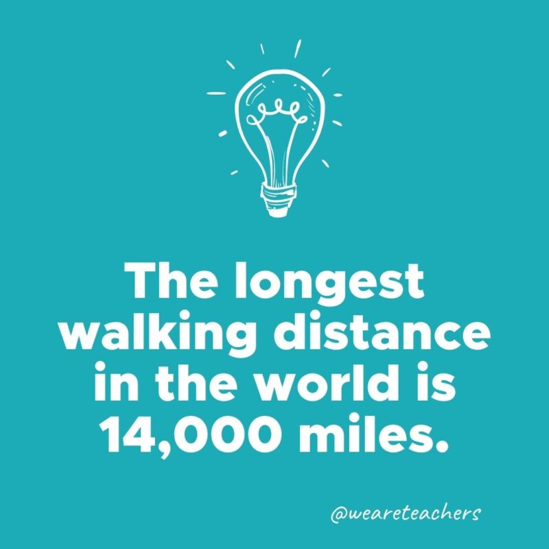 The longest walking distance in the world is 14,000 miles. 