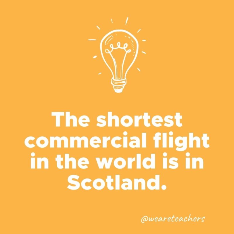 The shortest commercial flight in the world is in Scotland. 