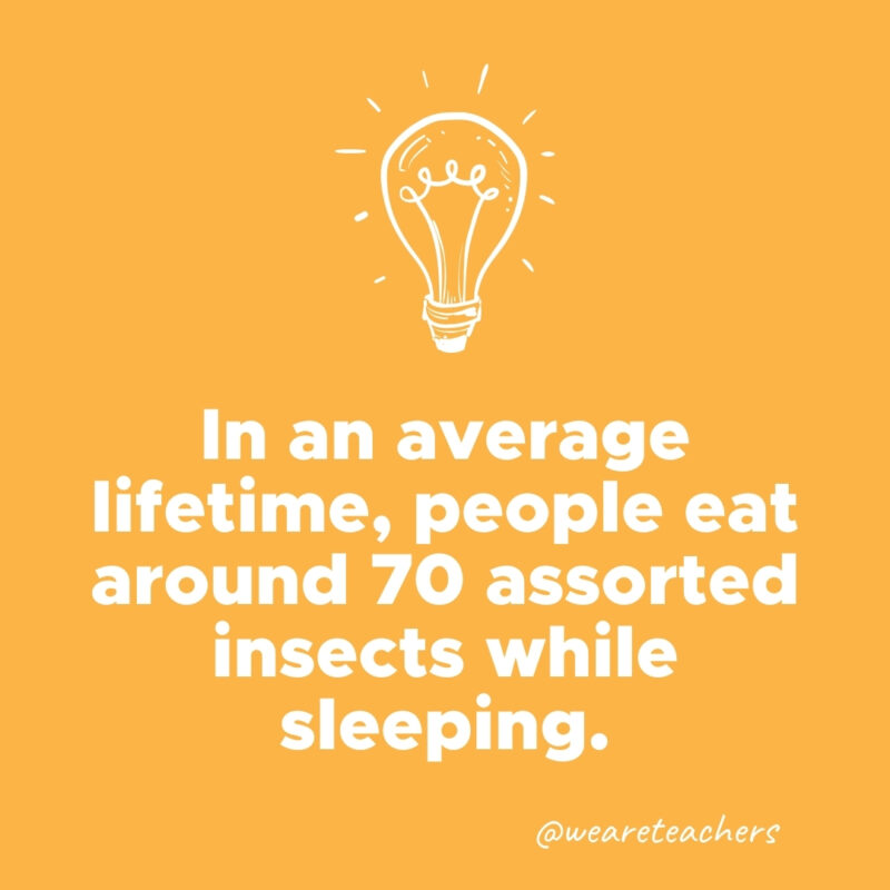 In an average lifetime, people eat around 70 assorted insects while sleeping.- weird fun facts