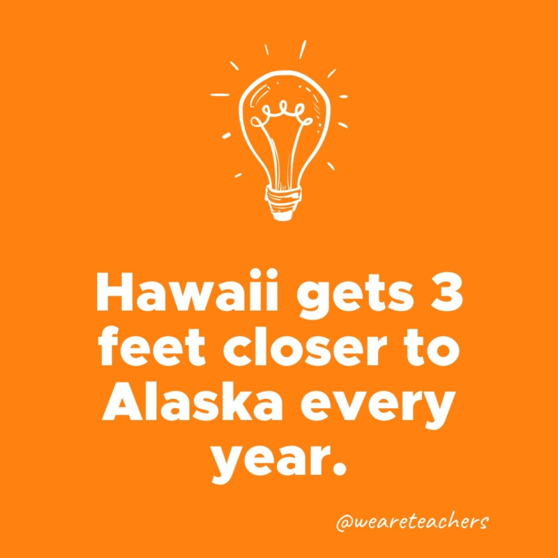 Hawaii gets 3 feet closer to Alaska every year.