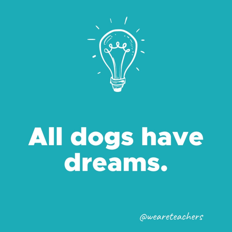All dogs have dreams.