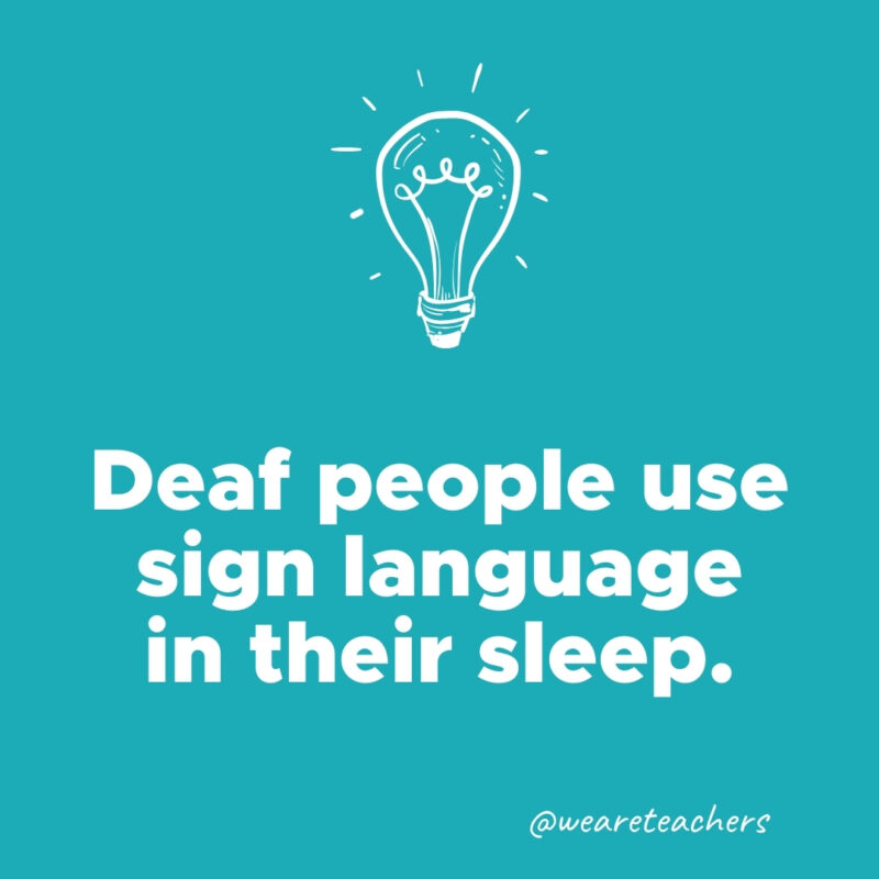 Deaf people use sign language in their sleep.