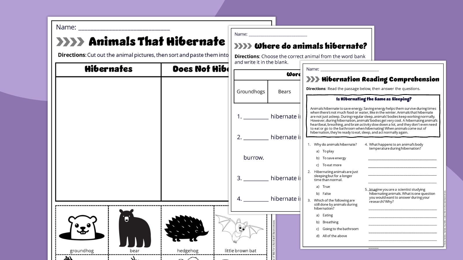 Collage of three worksheets about animal hiberation.