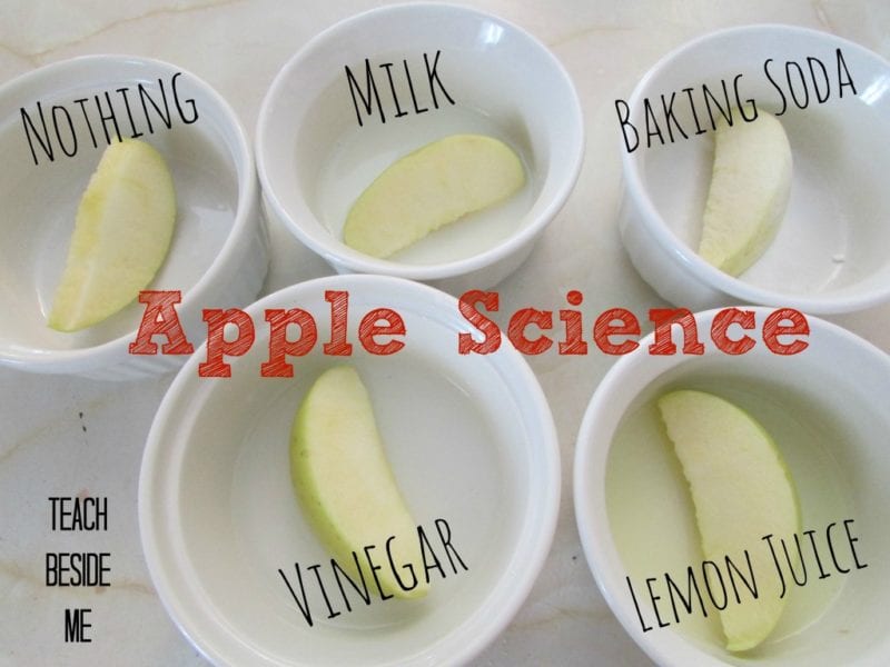 Apple slides in small white bowls, labeled with a variety of liquids including vinegar and milk