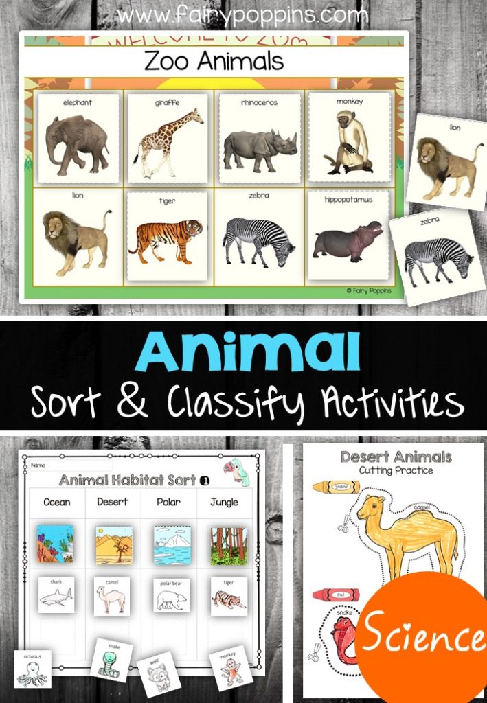 Charts showing zoo animals sorted by category.