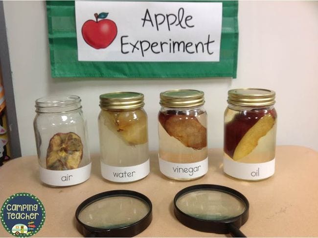 Four jars with apple slice in each, filled with air, water, vinegar, and oil, with two magnifying glasses