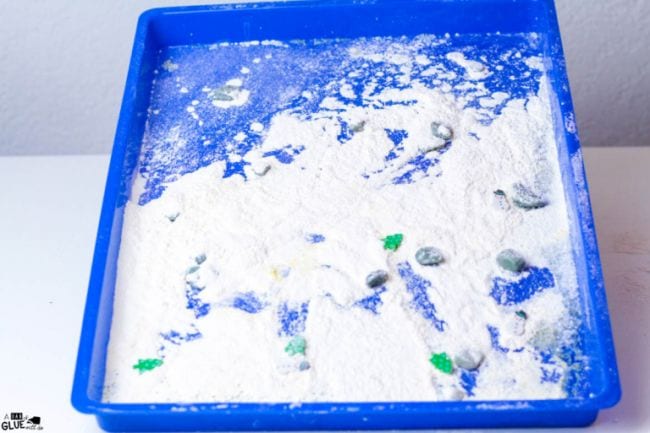 Blue tray covered in flour and small pebbles (First Grade Science Experiments)