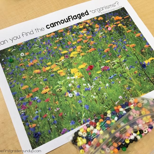 Printed picture of a wildflower meadow with colored beads laid on top