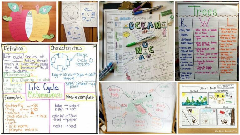 Collage of Graphic Organizers