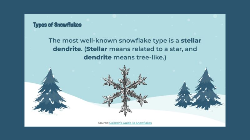 Slide with images and information about stellar dendrites.