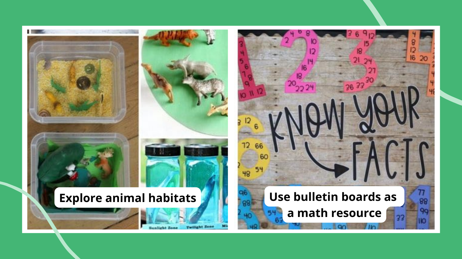 Tips for teaching fifth grade including exploring animal habitats and using bulletin boards as a math resource.